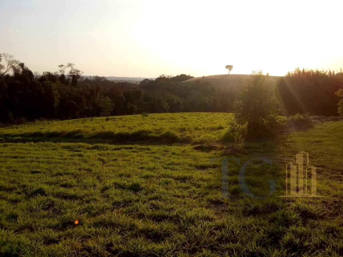 Chácara à venda com 9 quartos, 160000m² - Foto 22