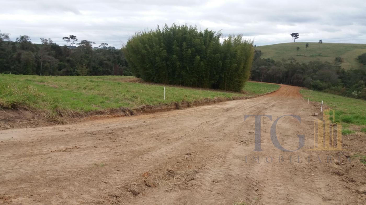 Chácara à venda com 9 quartos, 160000m² - Foto 20