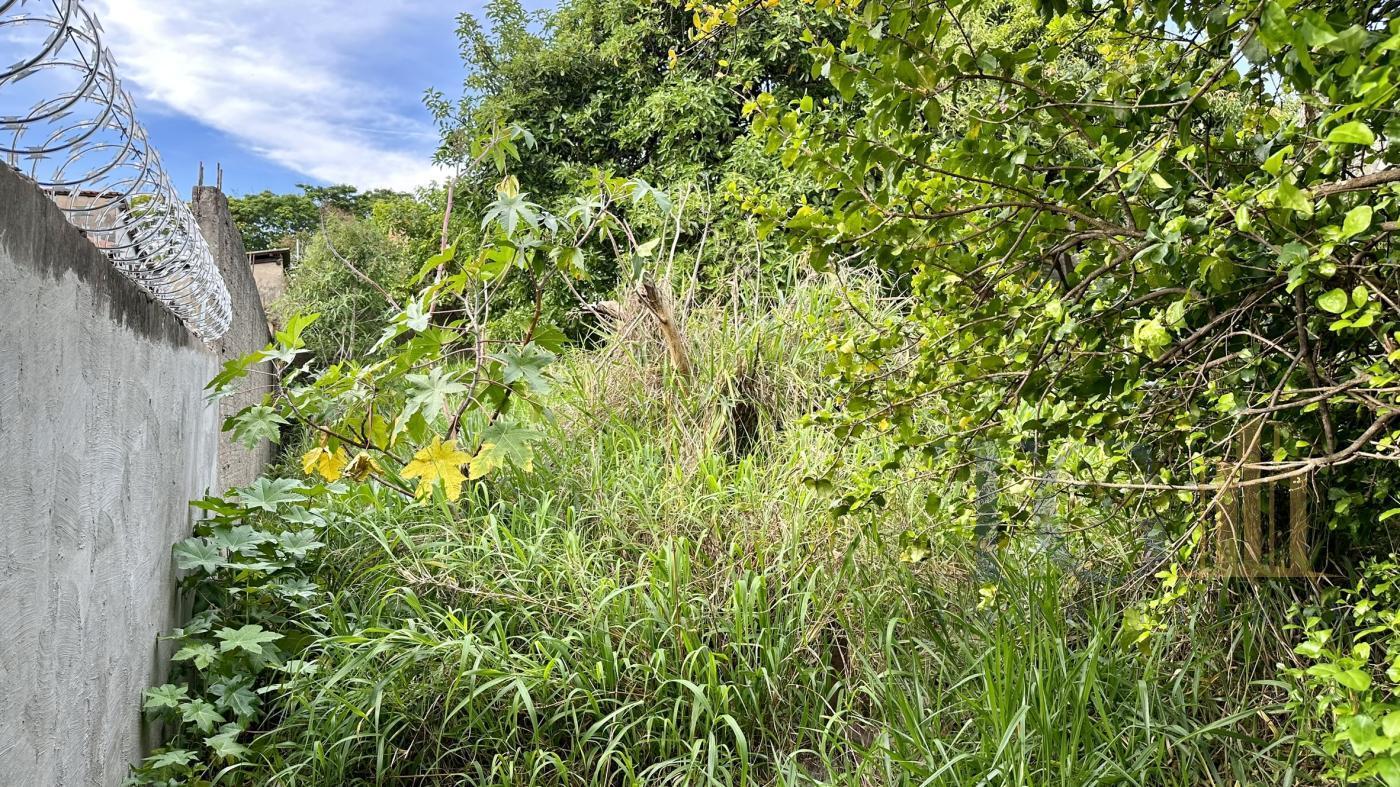 Terreno à venda, 300m² - Foto 6